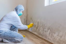 Best Biohazard Mold Removal  in West Orange, TX