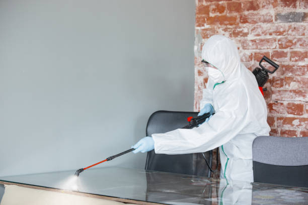 Environmental Consulting for Mold Prevention in West Orange, TX